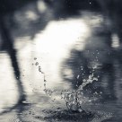 Splash